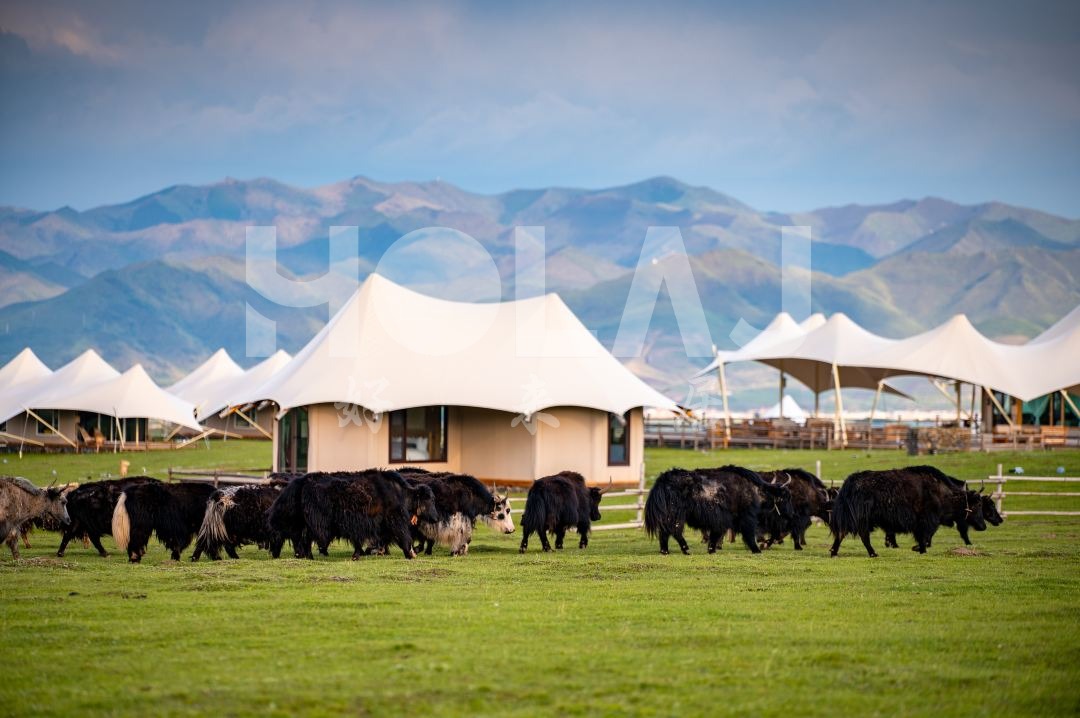 如何將當?shù)匚幕谌刖频陰づ裨O計，讓你體驗真正的異國風情